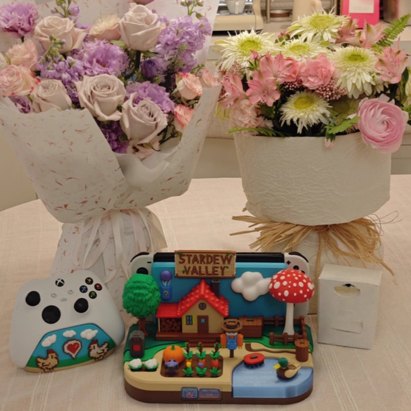 스위치 독 스타듀 밸리 팜 테마 장식용 충전 스탠드 스 - Gaming Console Stand 리뷰 및 가격